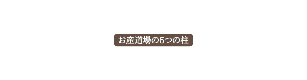 お産道場の5つの柱