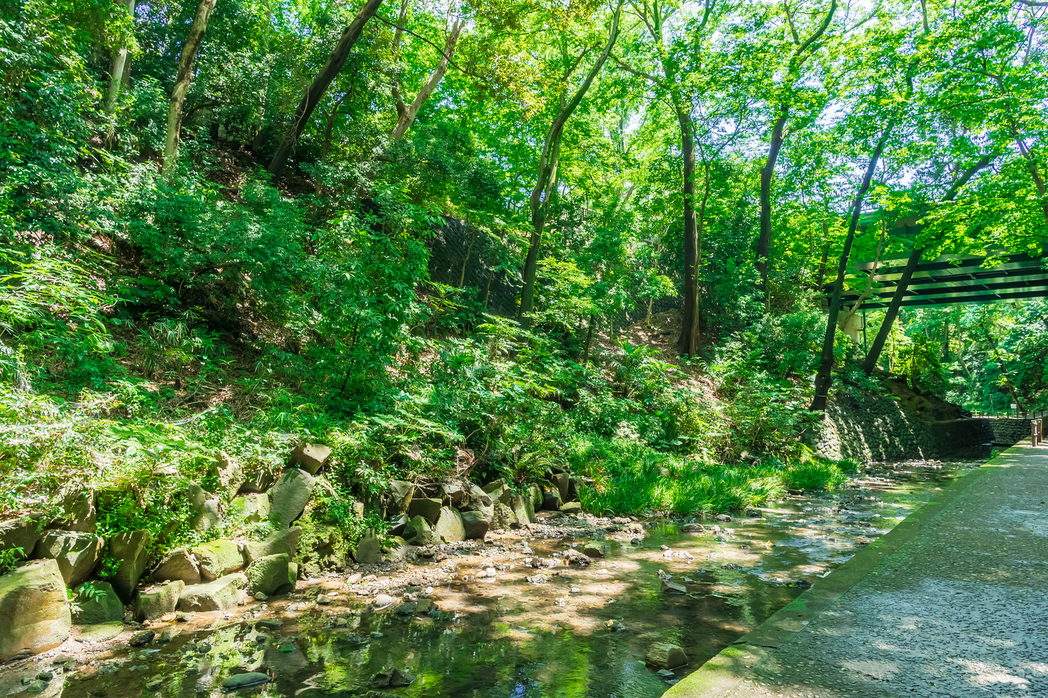 The scenery of the Todoroki Valley in Todoroki, Setagaya, Tokyo